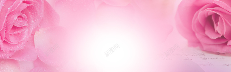 粉色玫瑰花水珠背景jpg设计背景_新图网 https://ixintu.com 情人节 海报banner 浪漫 梦幻
