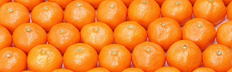 摄影黄色的橙子jpg设计背景_新图网 https://ixintu.com 橙子 黄色 食品 水果 橘子 海报banner 摄影 风景