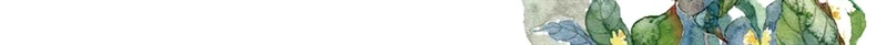 白色中国风中秋月饼促销美食psd设计背景_新图网 https://ixintu.com 中国风 中秋节 月饼 绿色 美食 水墨画 水彩 桂花