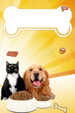 待领养动物宠物店铺猫粮狗粮宠物促销海报高清图片