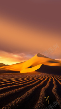 极限运动沙漠H5背景背景