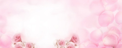层次花朵玫瑰花瓣渐变粉色banner背景高清图片
