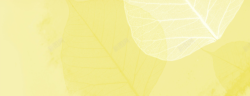 金黄色背景素材jpg设计背景_新图网 https://ixintu.com 金黄色 旋律 树叶 设计 音乐 音符 黄色背景