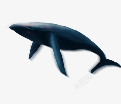 手绘神兽鲸鱼鲲素材