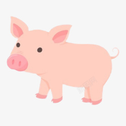 卡通可爱动物小猪素材