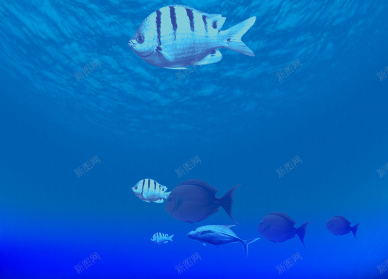 夏季促销海报背景素材psd设计背景_新图网 https://ixintu.com 卡通天地 商场促销 活动宣传 夏凉节 夏天 商场夏凉海报 水珠 彩虹 热气球 海报设计 广告