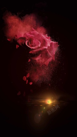 红玫瑰和戒指黑色大气红玫瑰钻戒H5背景素材高清图片