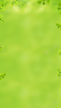 清新树叶露珠绿色H5背景素材背景
