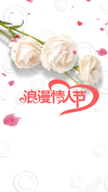 七夕情人节白玫瑰创意促销海报H5背景下载背景
