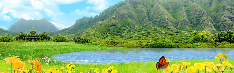 湖边花朵背景背景