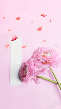 粉红浪漫花瓣H5背景背景