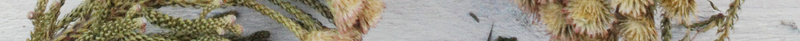 冬季鲜花圣诞树食物花花卉树叶jpg设计背景_新图网 https://ixintu.com 冬季 鲜花 唯美 背景