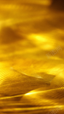 金色纹理H5背景背景
