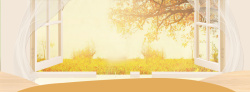 秋季黄树叶老树秋季文艺植物黄色窗帘banner高清图片