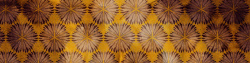 对称设计海报黄色无痕放射状花朵背景高清图片