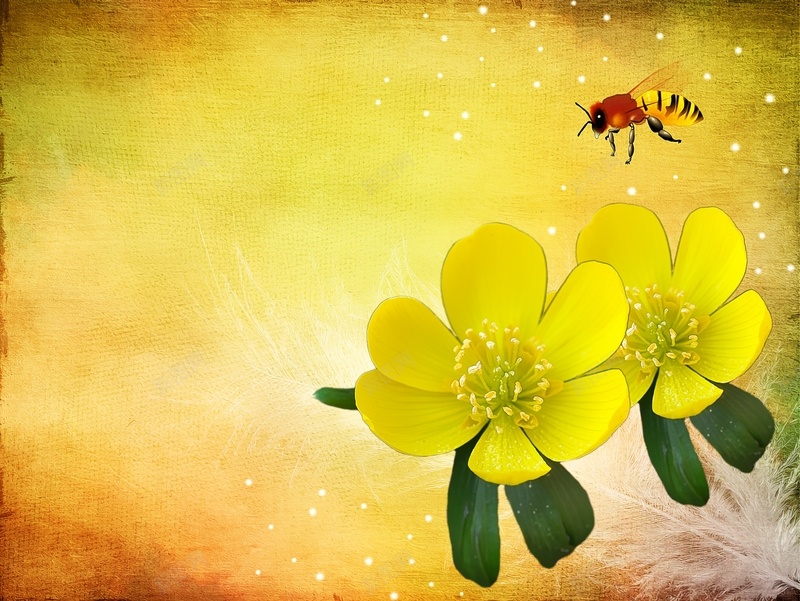 黄色背景中的黄花和小蜜蜂背景素材jpg设计背景_新图网 https://ixintu.com 动物 卡通 太阳花 手绘素材 手绘背景 插画背景 画册背景 花卉 蜜蜂 黄色 黄色背景 黄色花朵