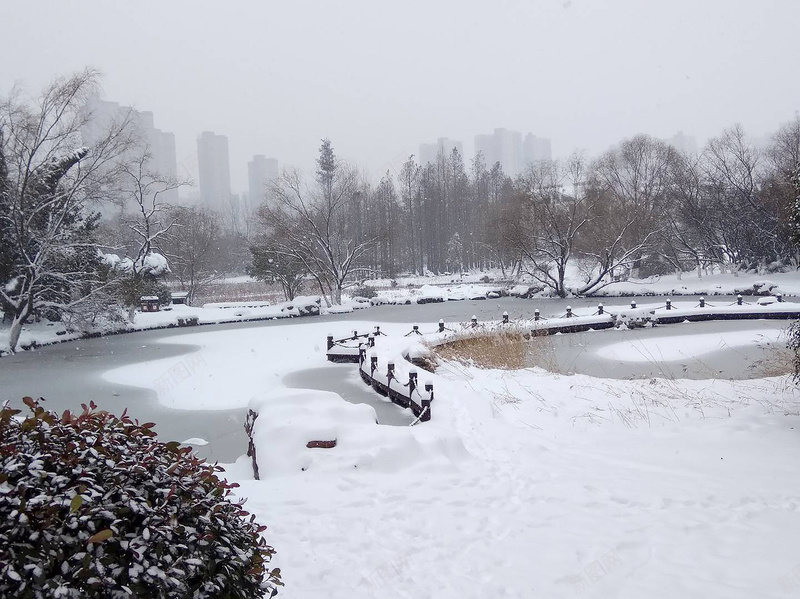 合肥植物园雪景jpg设计背景_新图网 https://ixintu.com 雪 雪景 美景 风光