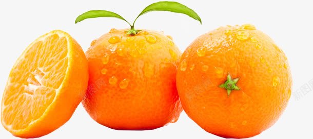 夏日水果橙色效果橙子png免抠素材_新图网 https://ixintu.com 夏日 水果 橙色 效果 橙子