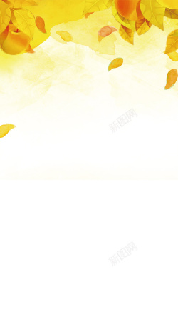 凄凉树叶金色黄色树叶H5背景高清图片