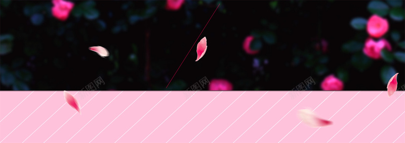 飘浮花瓣背景psd设计背景_新图网 https://ixintu.com banner 天猫 店招 条幅 横幅 海报banner 淘宝 背景 花瓣 花瓣飘飘 飘浮 黑色
