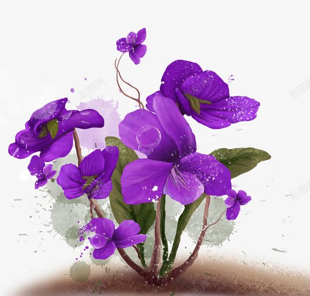 紫色花朵种植png免抠素材_新图网 https://ixintu.com 浇水 水珠 紫色 花朵 绿叶 土壤 装饰效果 海报装饰效果 紫色元素 免费下载