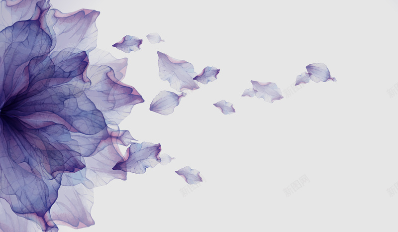 紫色花背景海报素材jpg设计背景_新图网 https://ixintu.com 紫色海报 紫色背景 紫色 花瓣 花 紫色素材 花朵 花海报 花素材