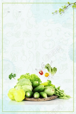 有机蔬菜质量保证PSD素材背景