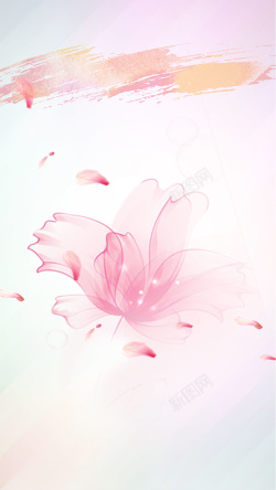油彩花卉设计口红白色化妆品花H5背景素材高清图片