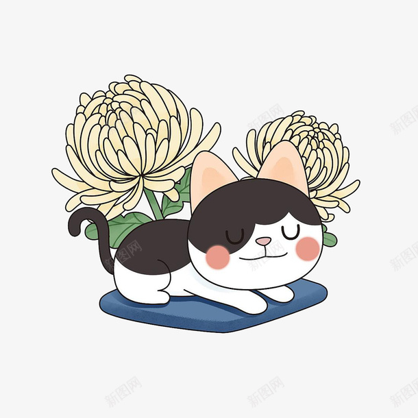 菊花旁睡觉猫png免抠素材_新图网 https://ixintu.com 动物 卡通 猫 菊花 菊花图案