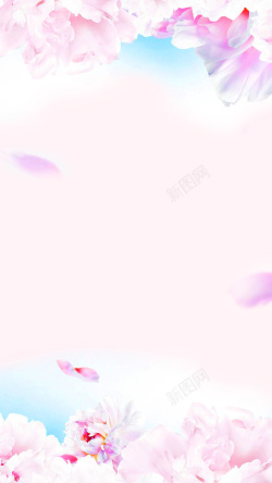 淡粉色花朵浪漫背景素材背景