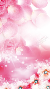 浪漫粉红玫瑰H5背景素材背景