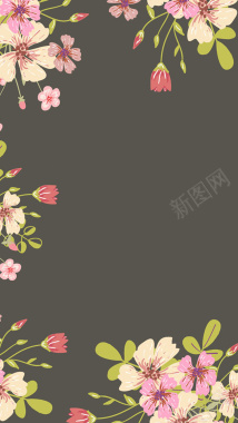 手绘花朵边框H5背景背景