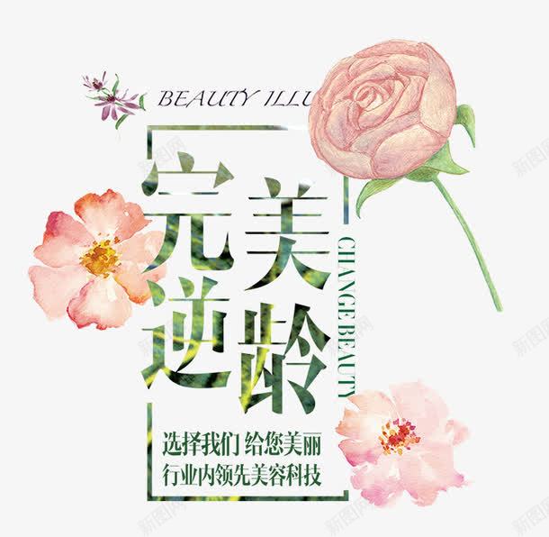 完美逆年龄png免抠素材_新图网 https://ixintu.com 完美 逆龄 水墨 花朵 花瓣 艺术字 边框效果 一支花