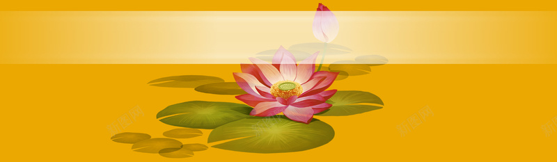 taobao淘宝banner背景psd设计背景_新图网 https://ixintu.com 莲花 佛 禅 黄色 荷花 海报banner