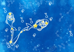蓝色的双鱼座十二星座双鱼座卡通图案蓝色背景素材高清图片