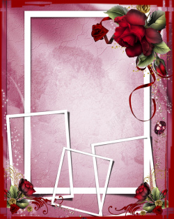 立体花卉边框纹理多框浪漫背景模板高清图片