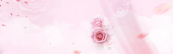 表白节粉色玫瑰花卉海报背景背景