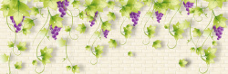 紫色墙砖葡萄藤简约背景高清图片