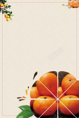 简洁新鲜橘子宣传推广背景