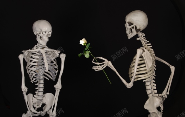 美式情人节骷髅送花背景素材背景