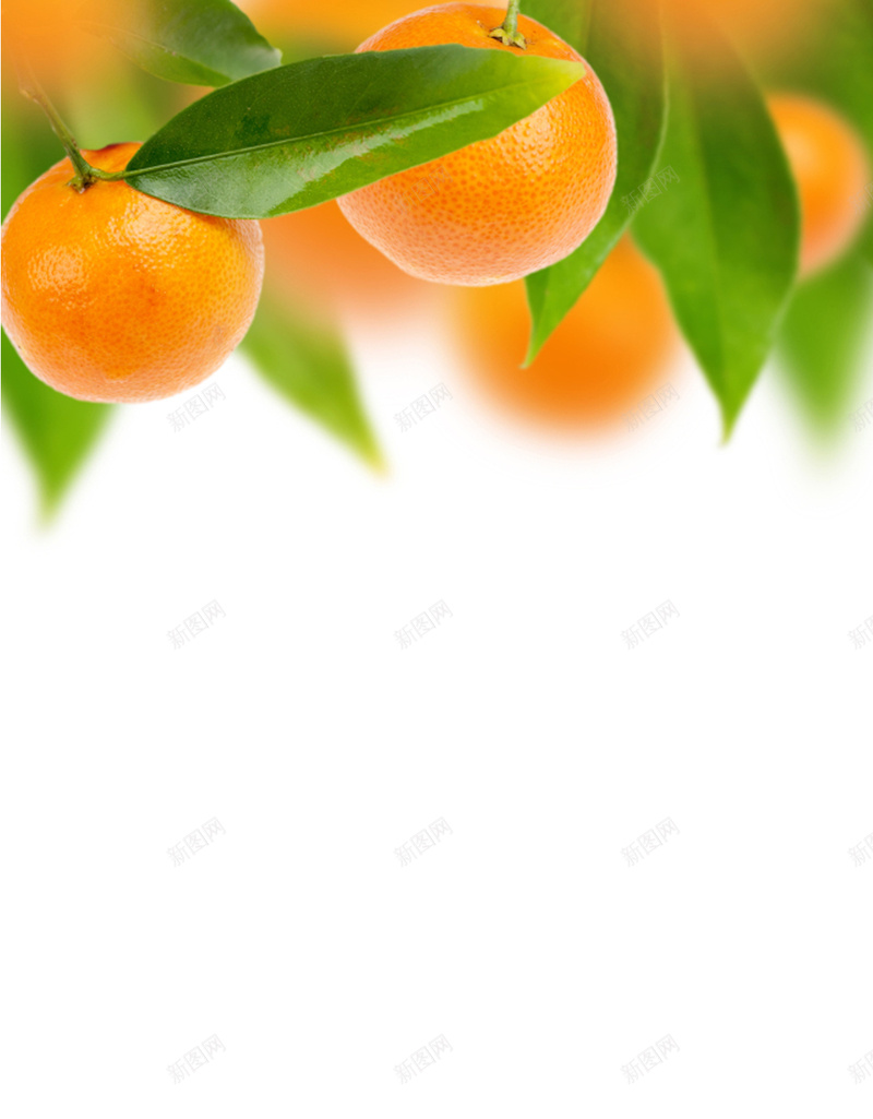 蔬果H5背景jpg设计背景_新图网 https://ixintu.com 健康 新鲜 橙子 橙色 水果 H5背景 H5 h5