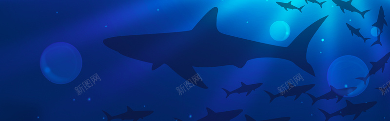 鲨鱼背景jpg设计背景_新图网 https://ixintu.com 蓝色 海底世界 鲨鱼 海洋 banenr 海报banner 卡通 童趣 手绘