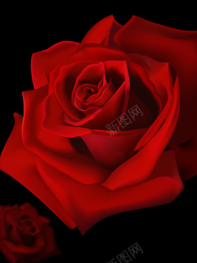 浪漫玫瑰黑色情人节海报背景素材背景