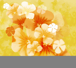 黄色和橙色康乃馨插画橙色花朵插画水彩花卉唯美印刷背景高清图片