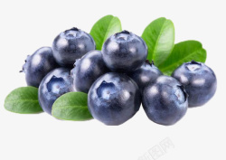 黑加仑蓝莓水果甸果地果龙果高清图片