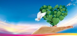 鸟型绿色环保海报背景高清图片