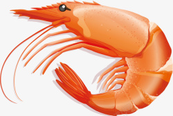 卡通基围虾海洋元素虾透明高清图片