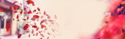 喜庆女神节玫瑰花瓣喜庆背景高清图片