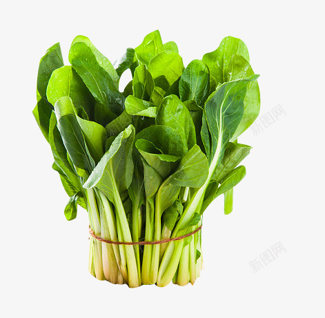 一捆绿色的青菜png免抠素材_新图网 https://ixintu.com 一捆 小青菜 成捆的蔬菜 绿色 蔬菜 鸡毛菜