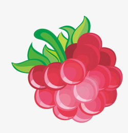 卡通覆盆子树莓覆盆子莓高清图片